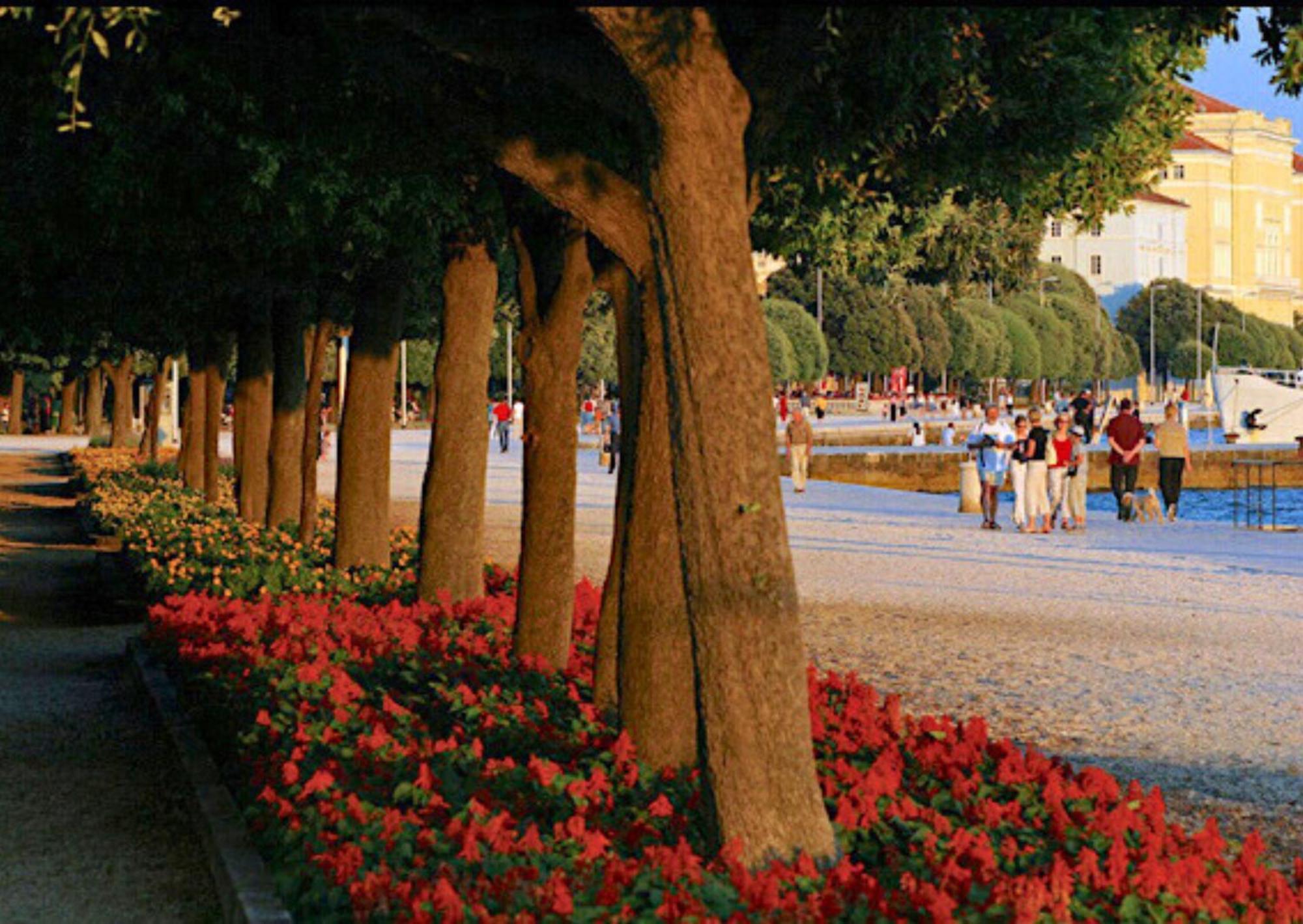 Holiday Apartment Nina,Zadar Ngoại thất bức ảnh